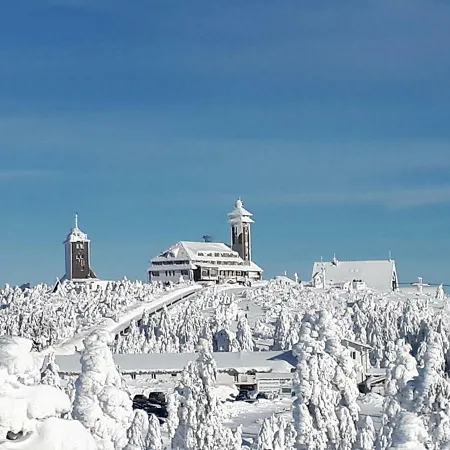 Haeckel * Курорт Обервизенталь