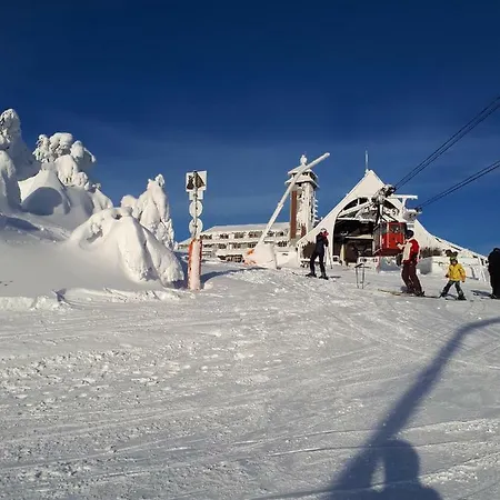 Haeckel Курорт Обервизенталь