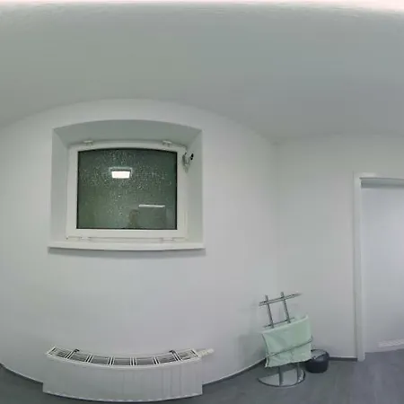 Haeckel Daire