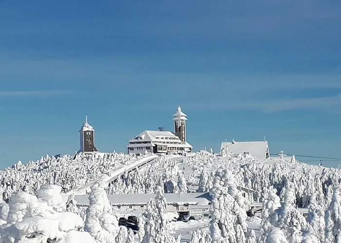 Haeckel * Oberwiesenthal