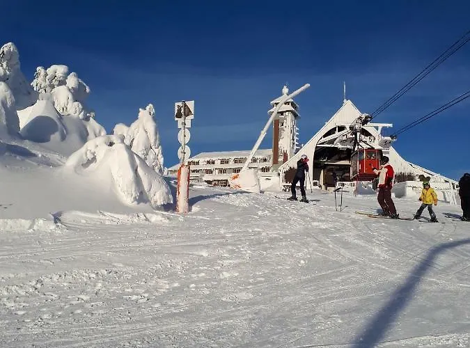 Haeckel Oberwiesenthal
